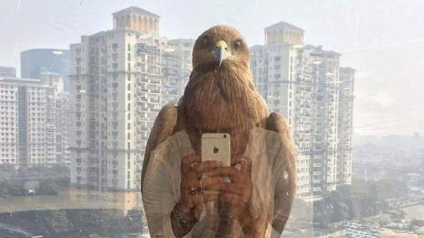 По случайност: Великолепни кадри, направени в точния момент