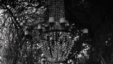 Кендъл Дженър отнесе критики за гол кадър