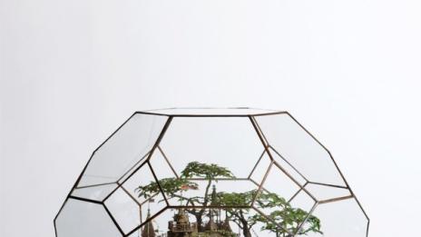 Добре дошли в кралство Бонсай!