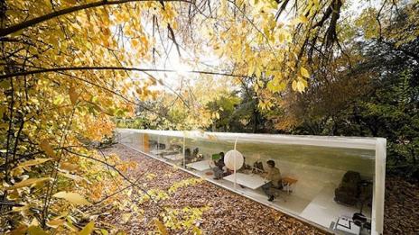 Офис в средата на гората