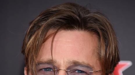 Анджелина катастрофа в кухнята, Брад пече пуйката