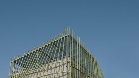 Бамбуковата къща