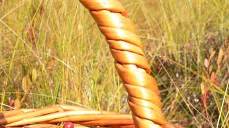 Червените боровинки - най-добрият приятел на жените