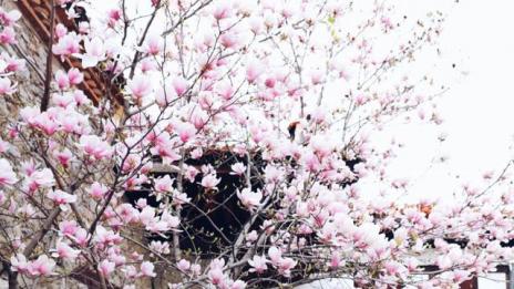 Цвети Пиронкова се радва на пролетта