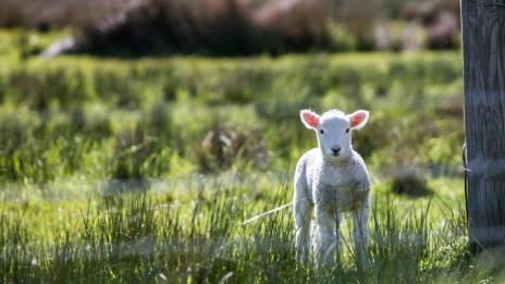 Хороскопът ви за 6 май