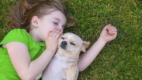 Защо детето ви трябва да има домашен любимец