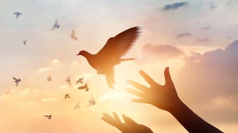 Кои зодии мислят най-оптимистично за връзките?