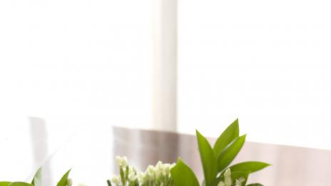 Безвредни ли са боите за яйца