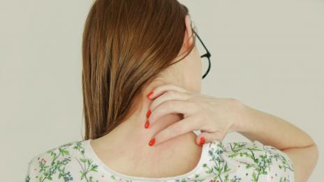 Ухапване от насекоми - за какво да внимавате?