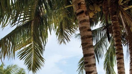 Кой не желае да бъде там?!