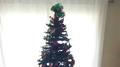 Как изглежда Коледа с домашни любимци?