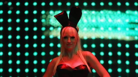 Завръщането на зайчетата