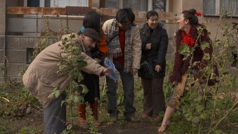 Японци се загубват в „Надежда“