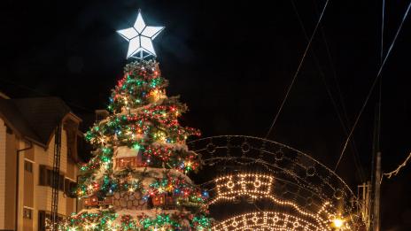 Спечели си принтер Brother с твоята красива коледна украса!