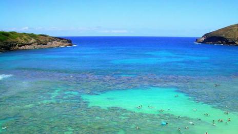 Най-чистите води в света. Време е за плаж!