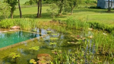 Басейни, или истински езера?