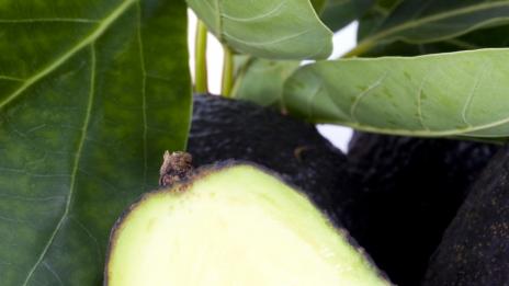 Хапвайте авокадо, за да сте млади