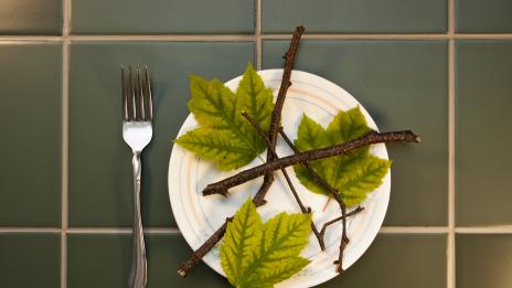 Диета, а след нея - напълняване...Защо?