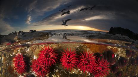 Морето в различни перспективи