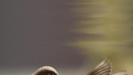 Направо ми лазиш по нервите! (втора част)