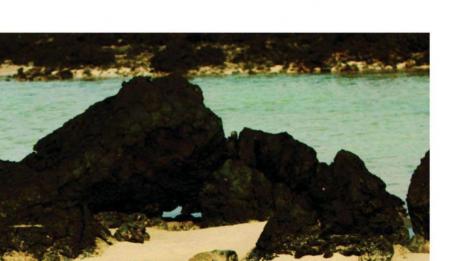 И Бар Рафаели се заигра гола с камерата