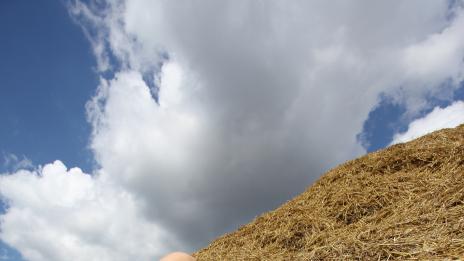 5 съвета за правилна почивка