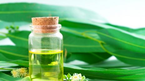 Етеричните масла, които отблъскват насекомите