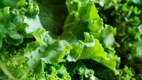 Нещата, които трябва да знаете за кейла