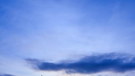 Почувствайте се щастливи само за 30 секунди