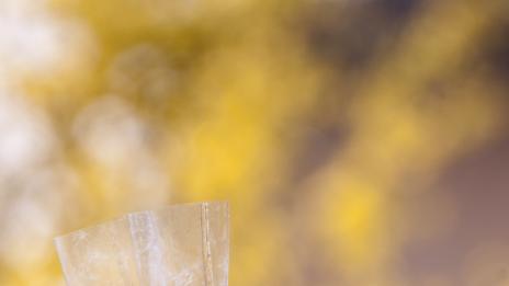 Домашни бои за великденските яйца