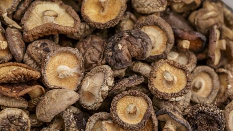Гъбите шийтаке понижават кръвното