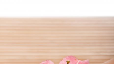 За твоите по-нежни ръце