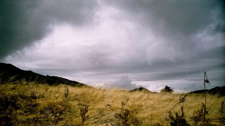 Изложба “Арфа на тревите” – лентова фотография на канава