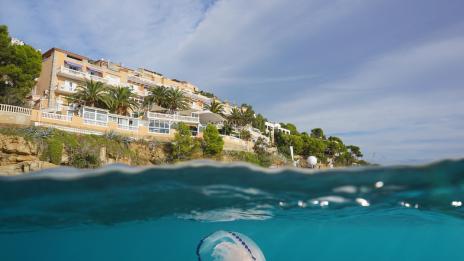Заснеха най-голямата медуза в света