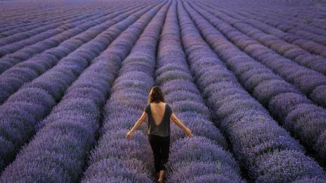 Билките, подходящи за всяка зодия (1 част)