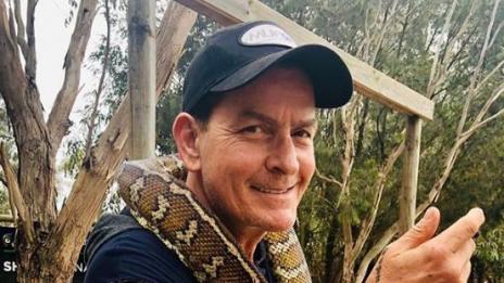 Чарли Шийн отказва да вземе близнаците си