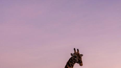 Интересни факти за Танзания