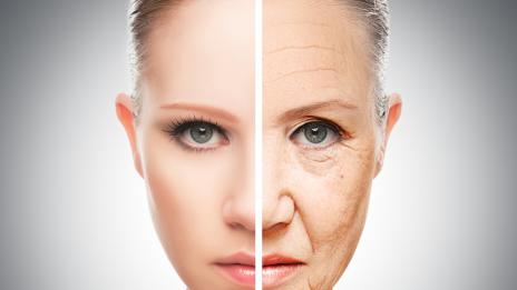 В кожата на лицето е тайната на красотата