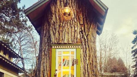 Жена превърна старо дърво в библиотека