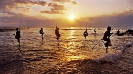 Рибарите на кокили в Шри Ланка