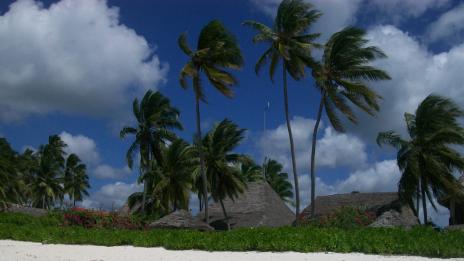 Занзибар – скритото съкровище на Африка