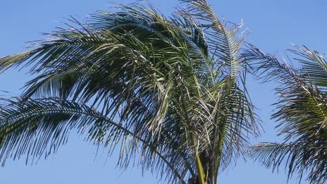 Любопитни факти за Чили – част първа