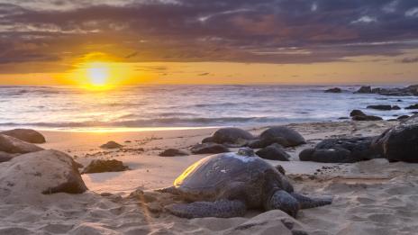 Интересни факти за Ямайка – част втора