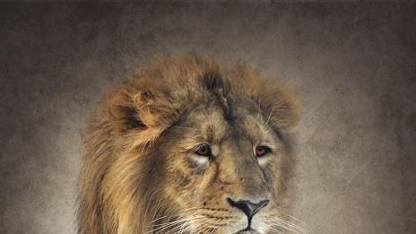 4-те най-силни зодиакални знака