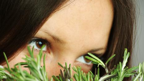 Ароматът на розмарин подобрява интелекта
