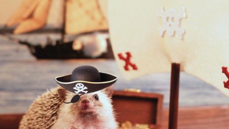 Животът на един необикновен таралеж