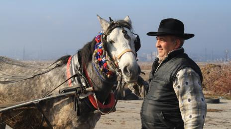 Роми и звезди се събират под един покрив в ново риалити