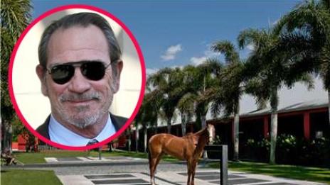 Томи Лий Джоунс иска 26 милиона долара за ранчото си