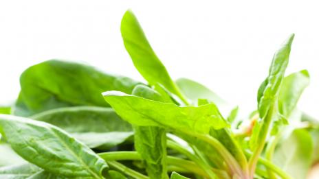 Цялата истина за спанака