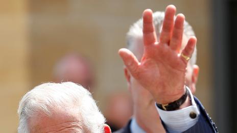 Принц Чарлз става филмов герой?